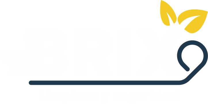Brix logo blanco 02